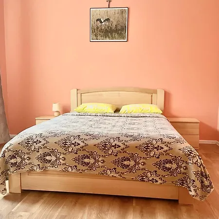 Apartamento двохкімнатні в центри на князя лева 11 *